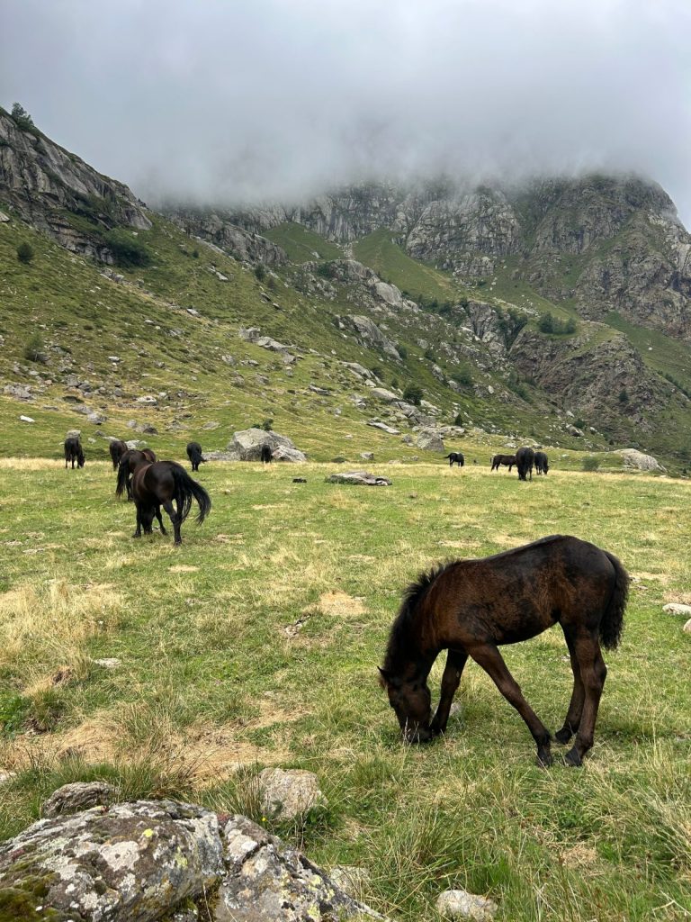 Une semaine d&rsquo;été en&nbsp;Ariège