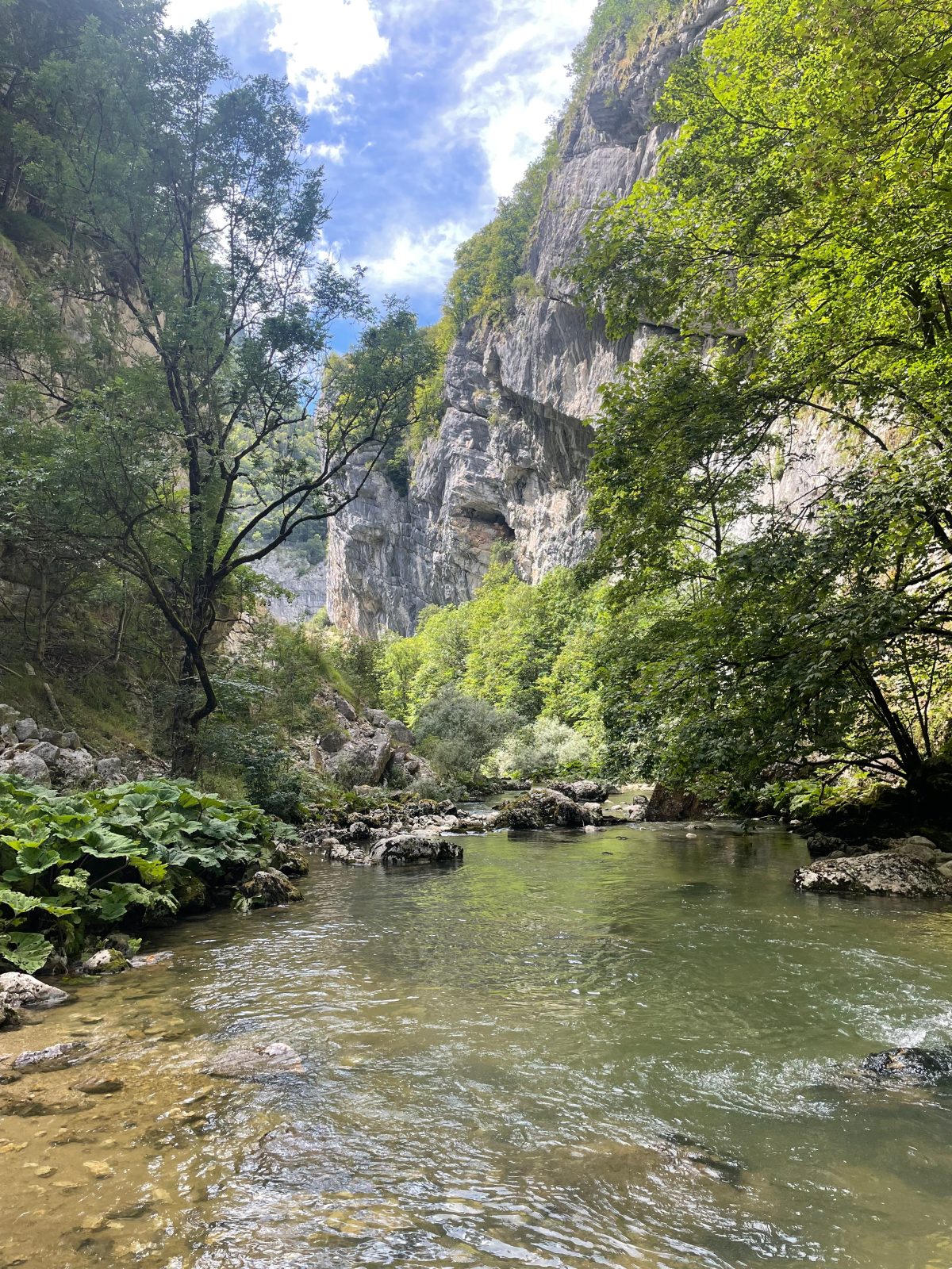 Vercors