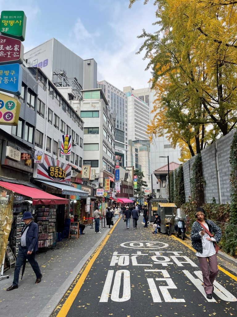 15 jours pour découvrir la Corée du sud et le&nbsp;japon