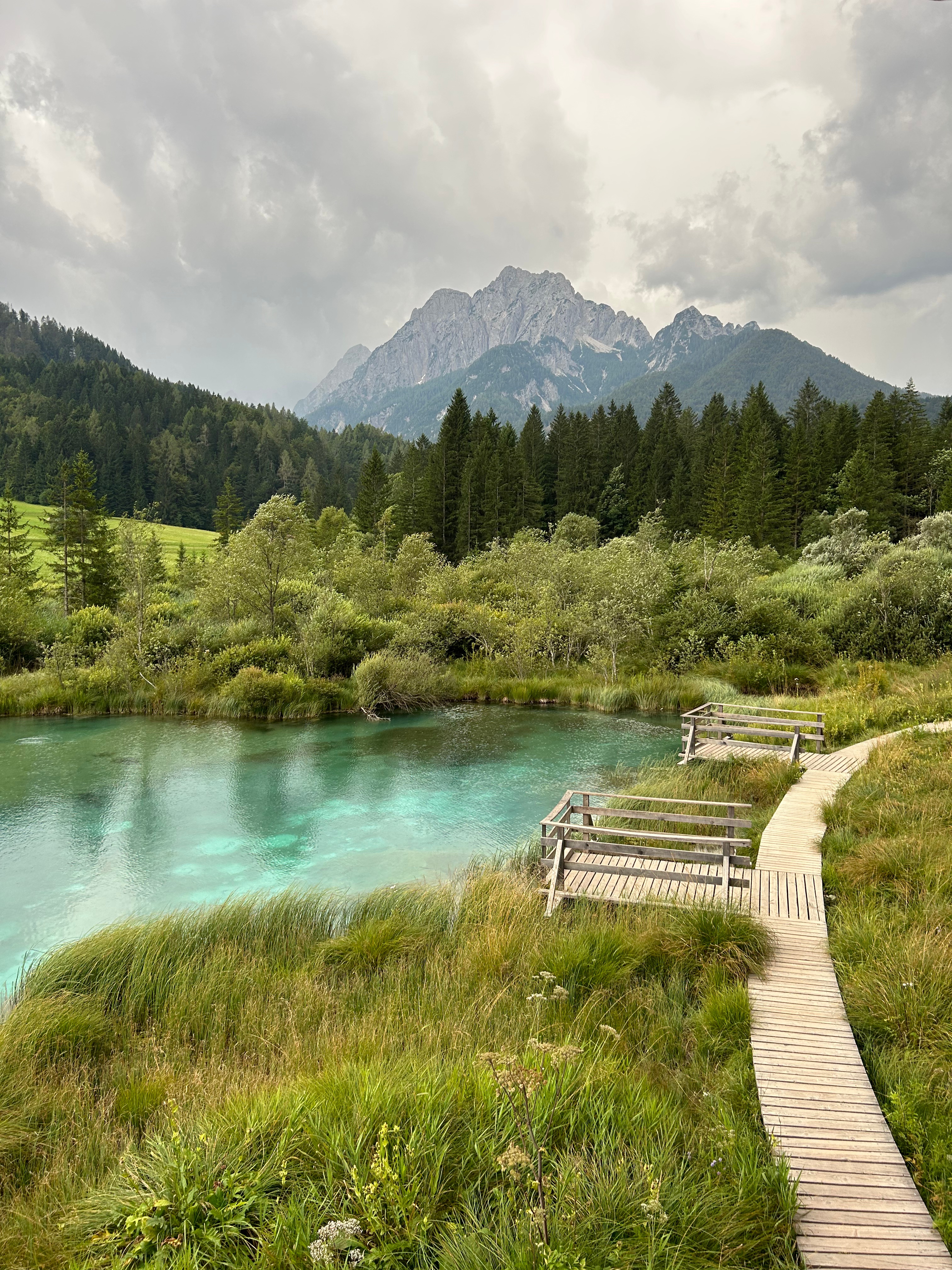 Réserve naturelle de Zelenci