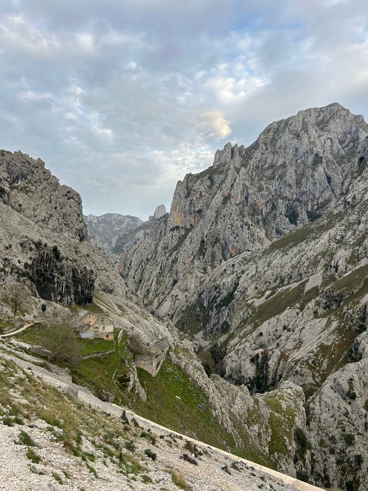 Picos de Europa
