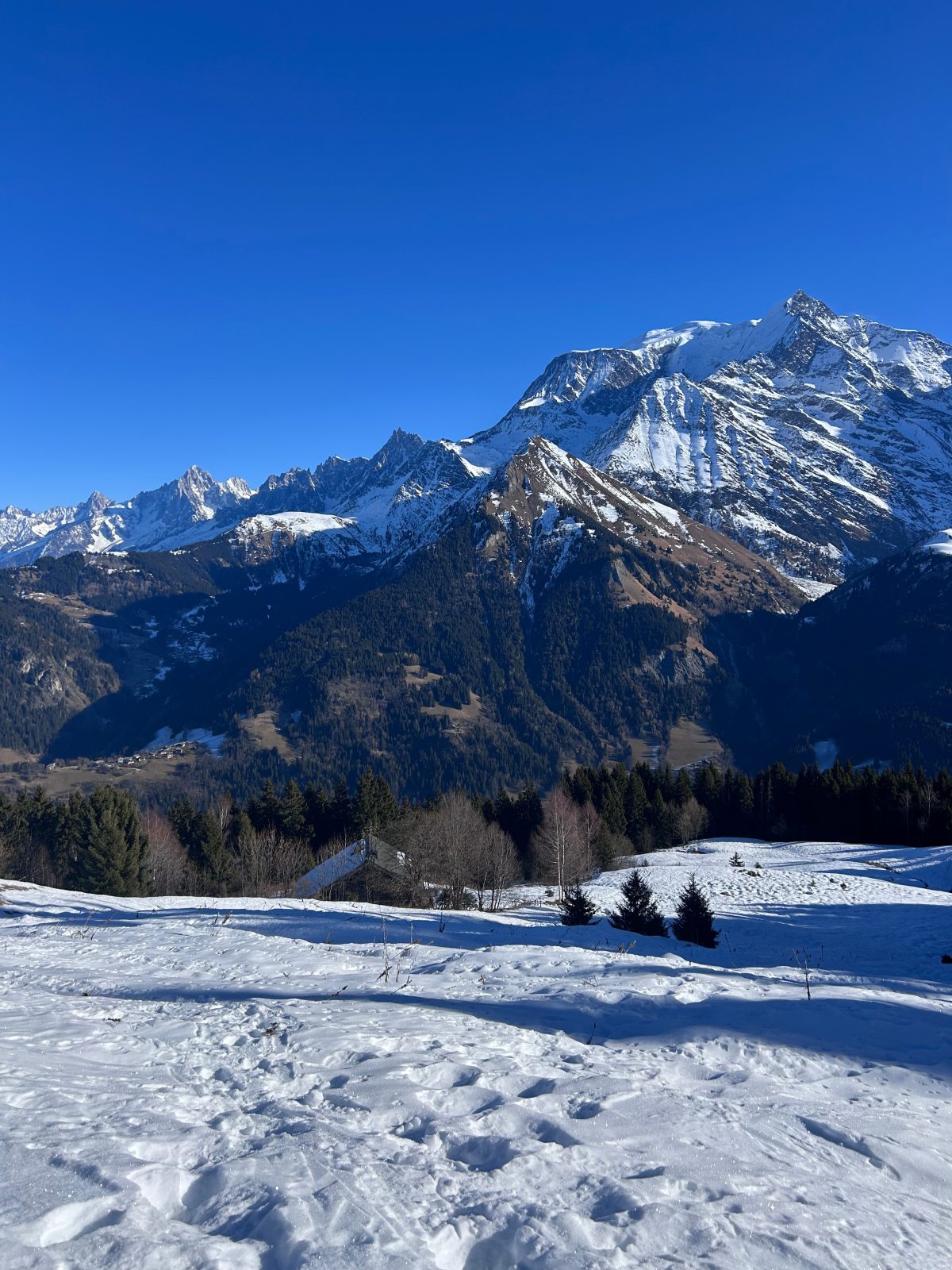 Mont Blanc